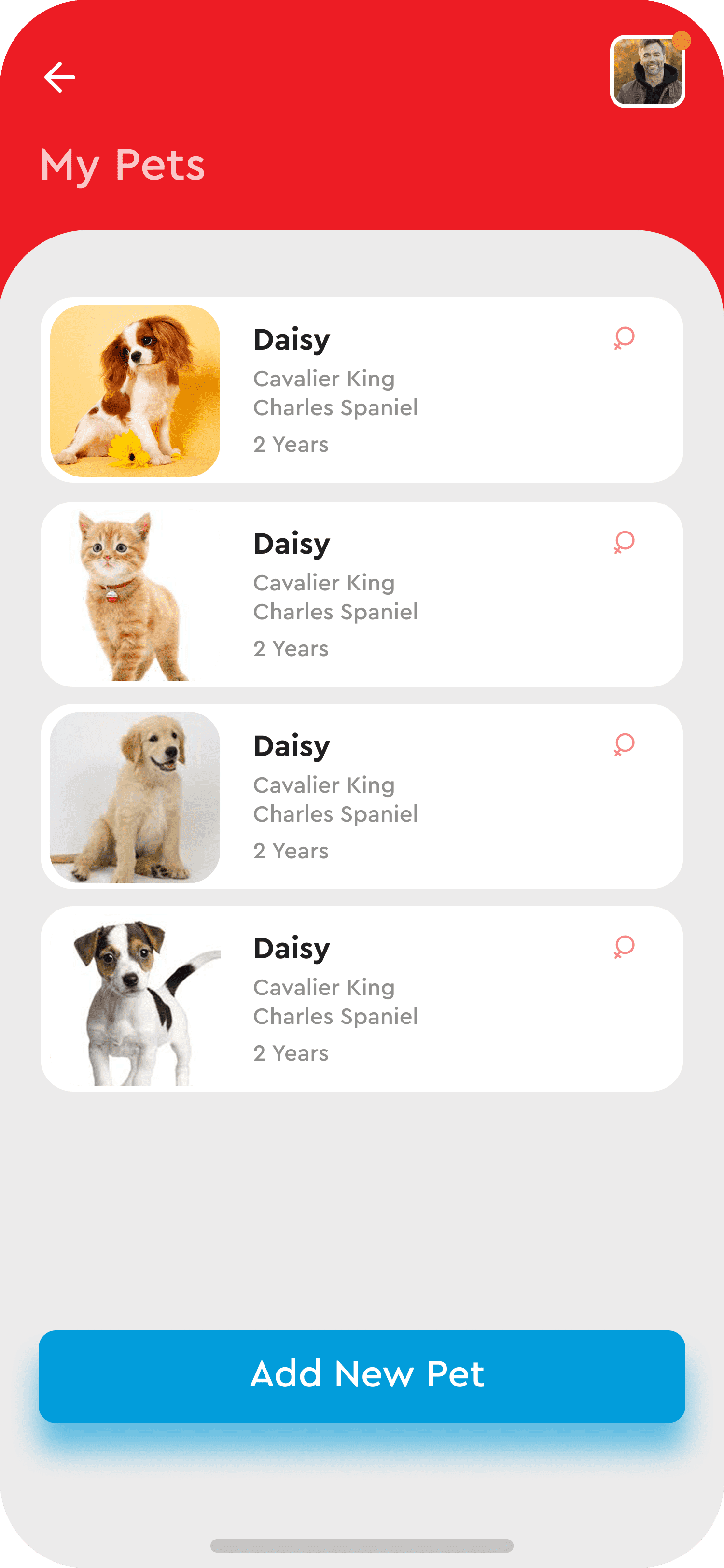 Screens 13 My Pets 2