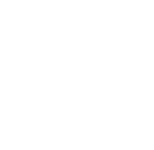 Web App Icon